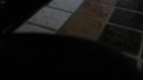 Snapshot of gene4 chatting on December 31, 2024, 7:29 pm gene online show from December 31, 2024, 7:29 pm