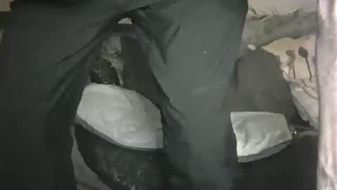 Geon online show from February 1, 2026, 11:14 pm