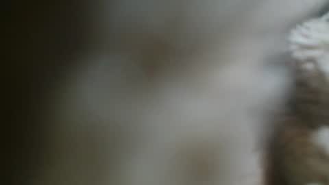 george online show from October 3, 2025, 6:27 pm