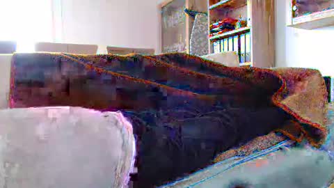 Snapshot of germanandy71 chatting on December 29, 2024, 12:12 pm germanandy71 online show from December 29, 2024, 12:12 pm