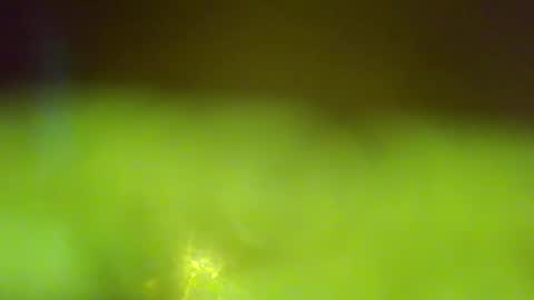 germanandy71 online show from January 6, 2026, 6:50 am