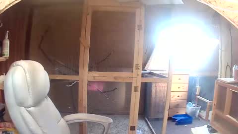 germany_50 online show from September 20, 2025, 6:36 am