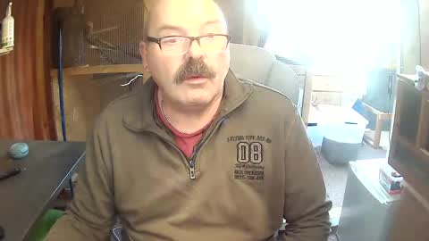 germany_50 online show from November 17, 2025, 2:01 pm