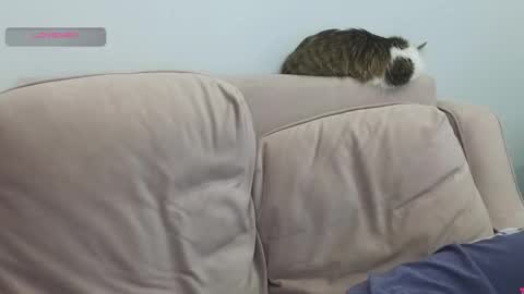 Gerta online show from March 8, 2026, 9:29 pm