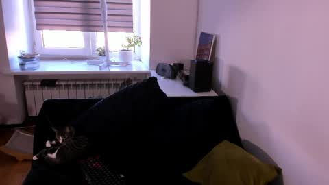 geserm online show from April 1, 2026, 1:41 pm