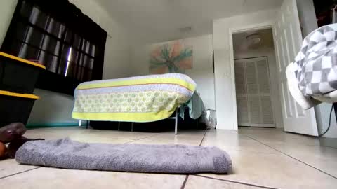 Getngetout88 online show from March 19, 2026, 6:23 pm