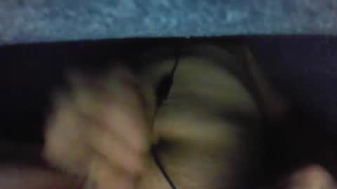 gezuz42069 online show from March 31, 2026, 9:53 am