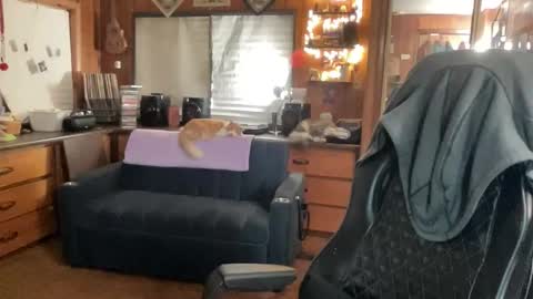 ghostboygbc online show from November 26, 2025, 4:57 am