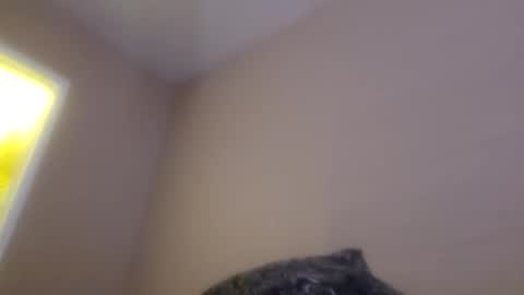 Snapshot of ghuntz22 chatting on October 15, 2025, 12:16 pm ghuntz22 online show from October 15, 2025, 12:16 pm