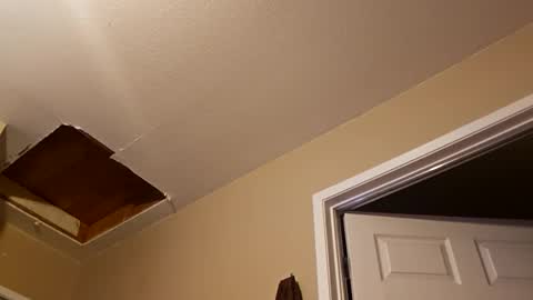 Snapshot of ghuntz22 chatting on November 9, 2025, 10:13 am ghuntz22 online show from November 9, 2025, 10:13 am