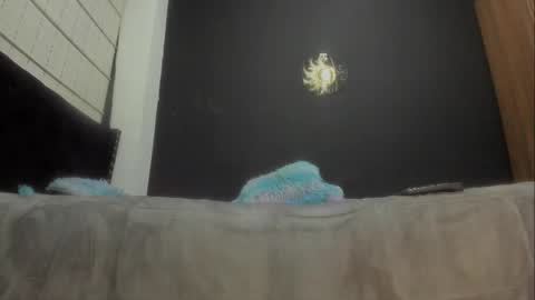 Miss online show from March 7, 2025, 6:54 pm