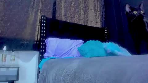 Miss online show from September 29, 2025, 5:40 pm