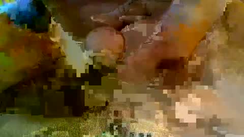 Snapshot of girafsnoop chatting on January 5, 2025, 9:15 am girafsnoop online show from January 5, 2025, 9:15 am