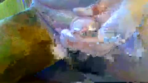 Snapshot of girafsnoop chatting on September 28, 2025, 8:09 am girafsnoop online show from September 28, 2025, 8:09 am