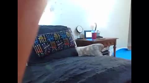 Snapshot of girlnextdoorporno chatting on December 15, 2024, 9:45 am Iri online show from December 15, 2024, 9:45 am