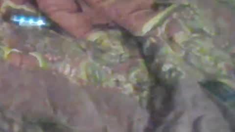 lovegirlscallme online show from January 17, 2026, 8:52 am