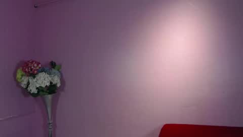 Snapshot of girlstwins chatting on October 23, 2025, 8:29 pm girlstwins online show from October 23, 2025, 8:29 pm