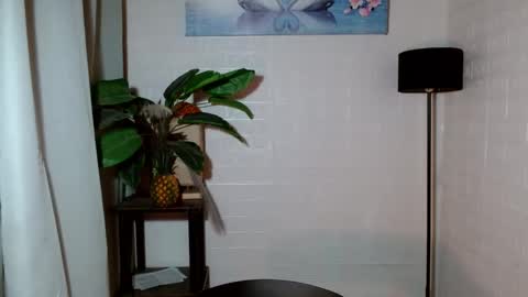 Callmenor online show from January 28, 2025, 4:18 am