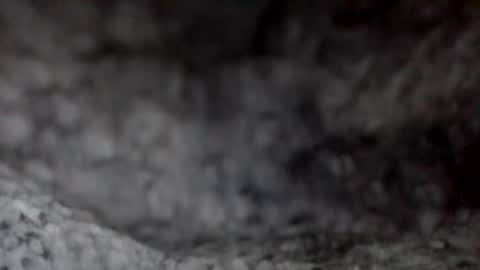 Snapshot of givr6inches chatting on December 7, 2024, 11:51 am e-Bizl online show from December 7, 2024, 11:51 am