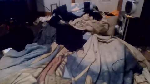 Snapshot of givr6inches chatting on December 16, 2024, 4:55 am e-Bizl online show from December 16, 2024, 4:55 am