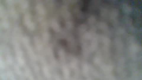 Snapshot of givr6inches chatting on February 25, 2025, 10:37 am e-Bizl online show from February 25, 2025, 10:37 am