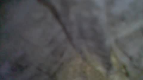 Snapshot of givr6inches chatting on September 11, 2025, 9:04 pm e-Bizl online show from September 11, 2025, 9:04 pm