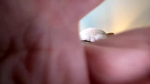 Snapshot of gngnxxx chatting on October 7, 2025, 12:02 pm gngnxxx online show from October 7, 2025, 12:02 pm