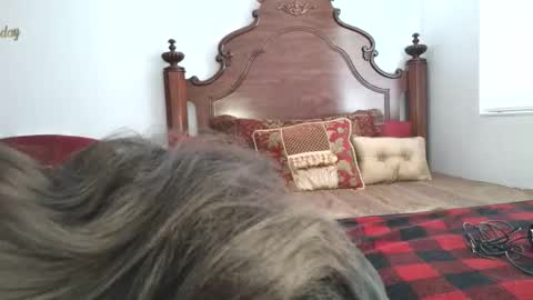 Xandra The Goddess online show from March 19, 2026, 1:26 pm