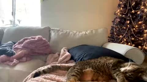 Snapshot of goddessmayvn chatting on December 3, 2024, 6:17 pm GoddessMayvn online show from December 3, 2024, 6:17 pm