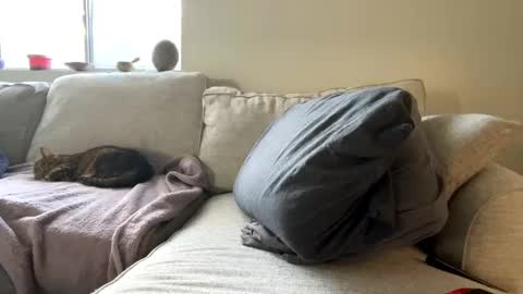 Snapshot of goddessmayvn chatting on February 11, 2025, 4:46 pm GoddessMayvn online show from February 11, 2025, 4:46 pm