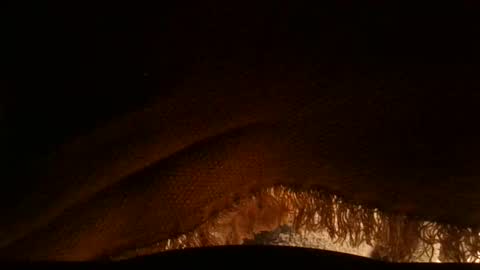 Serg online show from April 3, 2026, 10:13 am