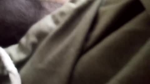 Snapshot of goodfucker3252 chatting on January 5, 2025, 9:25 pm Arab Pronstar online show from January 5, 2025, 9:25 pm