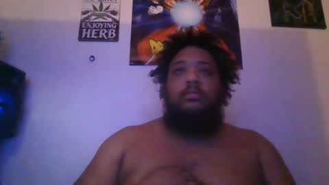 gorillamcgee online show from June 8, 2026, 9:42 am
