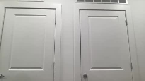 grace bailey online show from February 4, 2026, 3:01 am