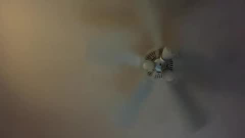 grd137 online show from March 8, 2025, 9:28 am