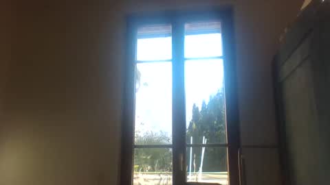 Snapshot of greenmoon88888 chatting on December 18, 2024, 11:45 am Greenmoon online show from December 18, 2024, 11:45 am