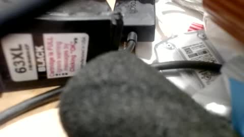 Snapshot of gregburns chatting on June 30, 2026, 10:55 pm Greg online show from June 30, 2026, 10:55 pm