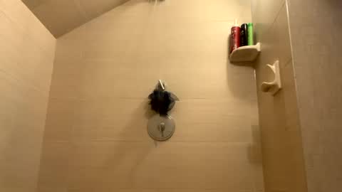 Snapshot of greyvan96 chatting on December 31, 2024, 1:30 pm Perfectlyaveragesavage online show from December 31, 2024, 1:30 pm