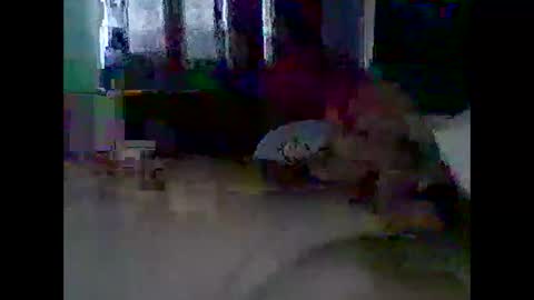 grittslappa online show from November 11, 2025, 12:21 am