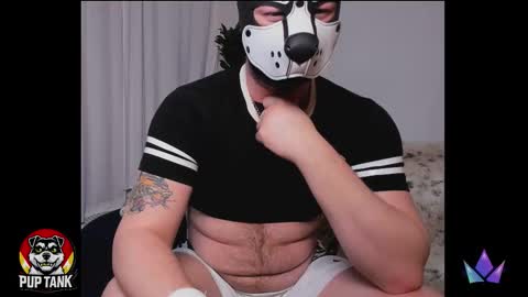 Snapshot of growingcub94 chatting on December 15, 2025, 5:55 am Alpha pup online show from December 15, 2025, 5:55 am