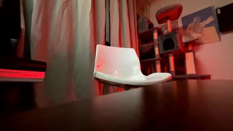 haildave6 online show from April 26, 2026, 12:41 am