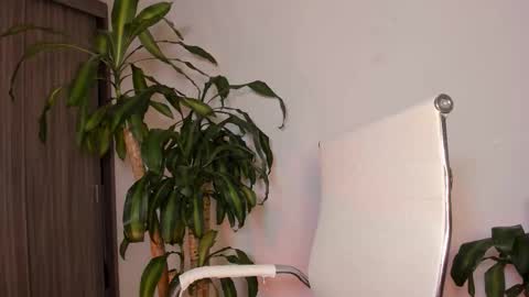 Snapshot of hailey_firee chatting on October 1, 2025, 10:21 am Hailey online show from October 1, 2025, 10:21 am