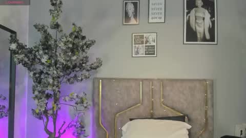 haileystonei online show from December 5, 2025, 11:30 am