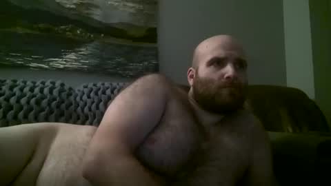 Snapshot of hairiestbear chatting on January 11, 2025, 9:47 am Hairiest Bear online show from January 11, 2025, 9:47 am