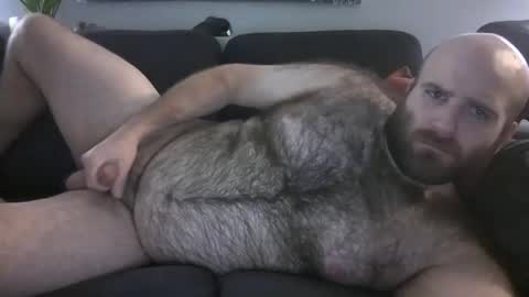 Hairiest Bear online show from December 21, 2025, 4:19 am