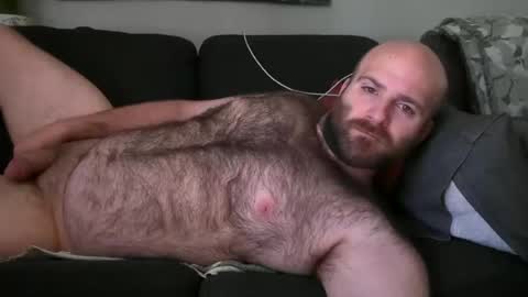 Hairiest Bear online show from June 1, 2026, 2:41 pm
