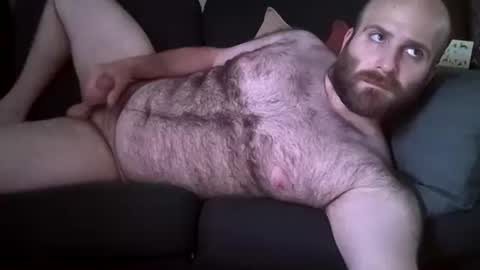 Hairiest Bear online show from June 9, 2026, 7:36 pm