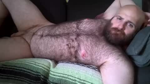 Hairiest Bear online show from August 1, 2026, 8:08 pm