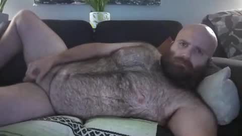 Hairiest Bear online show from August 2, 2026, 9:08 am