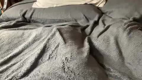 Snapshot of hairy_mexi chatting on March 5, 2025, 6:01 am J M online show from March 5, 2025, 6:01 am